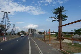 Gabon : Libreville centre du monde du palmier à  huile en octobre